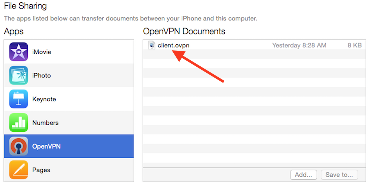 iTunes muestra el perfil VPN listo para cargar en el iPhone